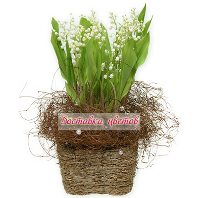 Корзина из ландышей